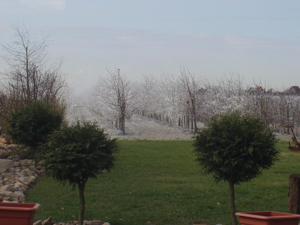 Ferienwohnungen Auf Dem Carlshof In Jork - Altes Land Εξωτερικό φωτογραφία